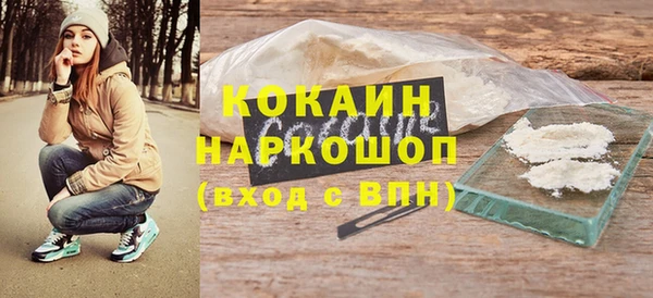 соль ск Гусев