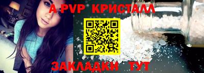 a pvp Кингисепп