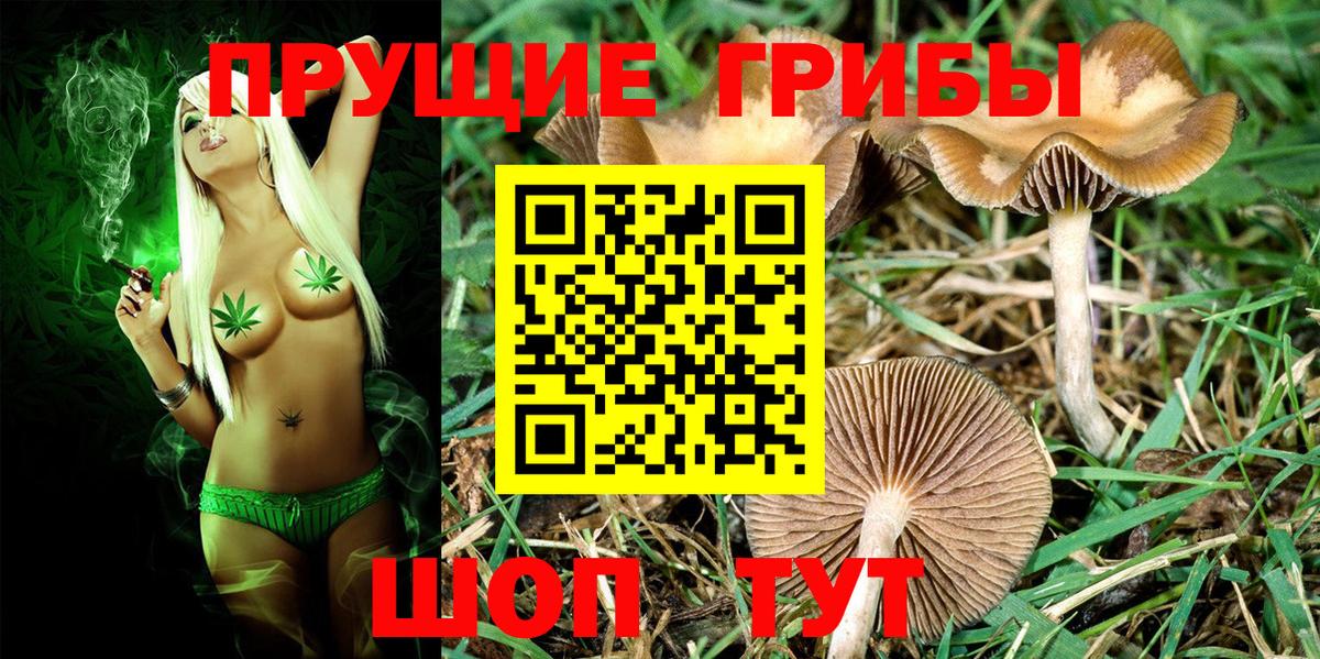 Омск  Галлюциногенные грибы ЛСД  Вход с VPN  Галлюциногенные грибы Cubensis 